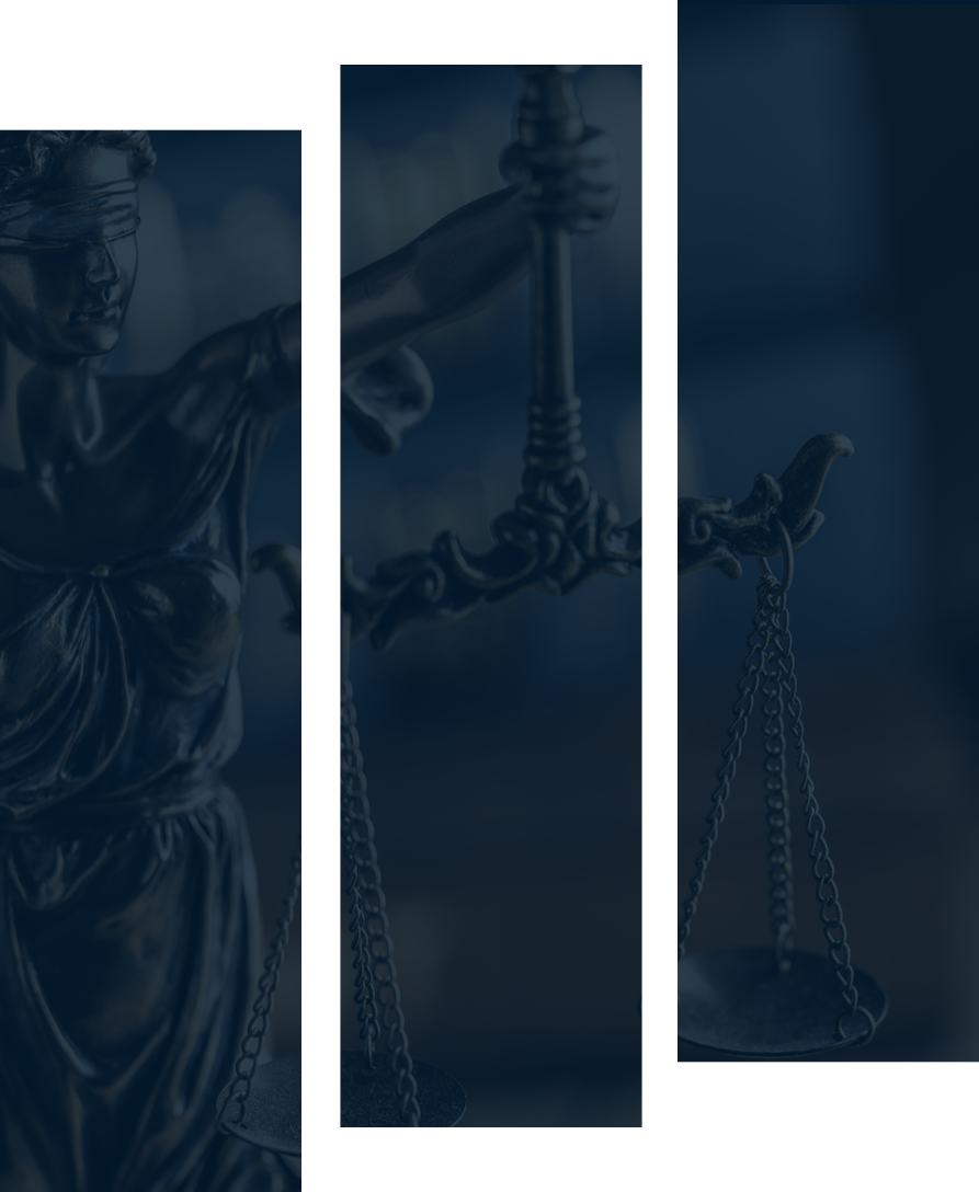 About HMS Africa Advocates LLP